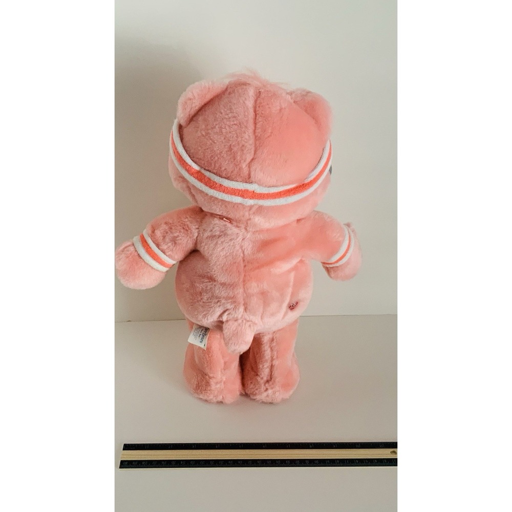VTG Care Bears 2004 Fit N Fun Sing Dance Exercise Rainbow Cheer Plush TESTED - Picture 3 of 7